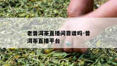 老普洱茶直播间靠谱吗-普洱茶直播平台