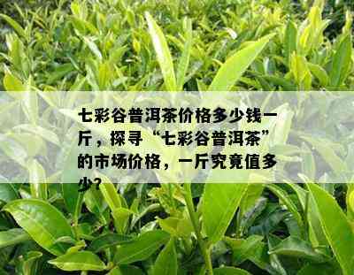 七彩谷普洱茶价格多少钱一斤，探寻“七彩谷普洱茶”的市场价格，一斤究竟值多少？