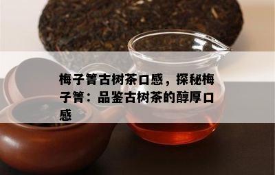 梅子箐古树茶口感，探秘梅子箐：品鉴古树茶的醇厚口感