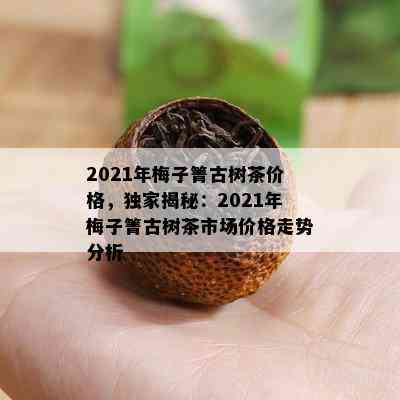 2021年梅子箐古树茶价格，独家揭秘：2021年梅子箐古树茶市场价格走势分析