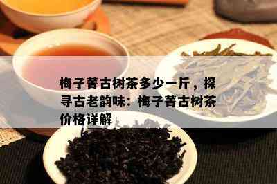 梅子菁古树茶多少一斤，探寻古老韵味：梅子菁古树茶价格详解