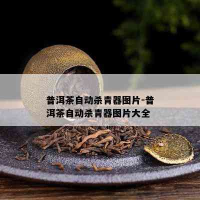 普洱茶自动杀青器图片-普洱茶自动杀青器图片大全