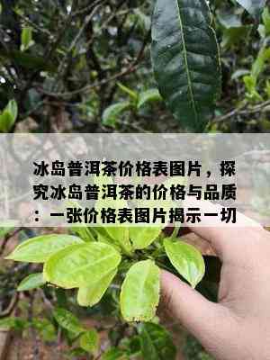 冰岛普洱茶价格表图片，探究冰岛普洱茶的价格与品质：一张价格表图片揭示一切