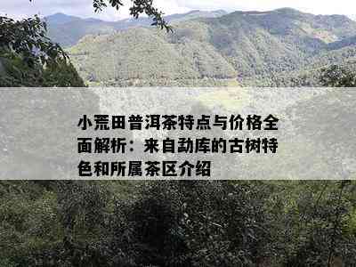 小荒田普洱茶特点与价格全面解析：来自勐库的古树特色和所属茶区介绍