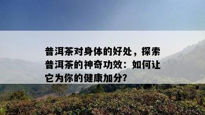 普洱茶对身体的好处，探索普洱茶的神奇功效：如何让它为你的健康加分？