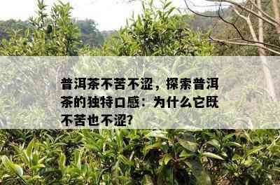 普洱茶不苦不涩，探索普洱茶的独特口感：为什么它既不苦也不涩？