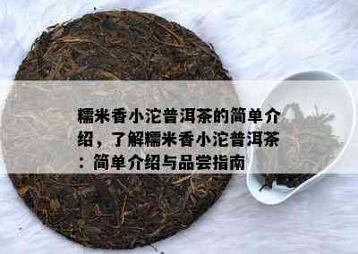 糯米香小沱普洱茶的简单介绍，了解糯米香小沱普洱茶：简单介绍与品尝指南