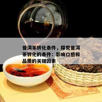 普洱茶转化条件，探究普洱茶转化的条件：影响口感和品质的关键因素