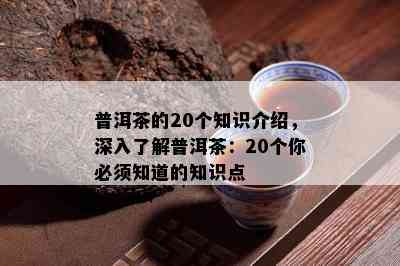 普洱茶的20个知识介绍，深入了解普洱茶：20个你必须知道的知识点