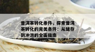 普洱茶转化条件，探索普洱茶转化的完美条件：从储存到冲泡的全面指南