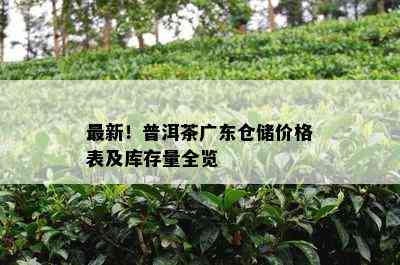 最新！普洱茶广东仓储价格表及库存量全览