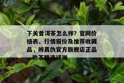 下关普洱茶怎么样？官网价格表、行情报价及推荐收藏品，辨真伪官方旗舰店正品，熟茶精选评测