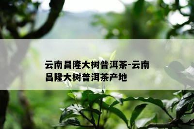 云南昌隆大树普洱茶-云南昌隆大树普洱茶产地