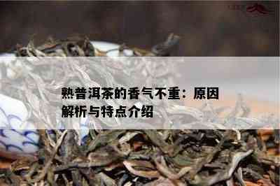 熟普洱茶的香气不重：原因解析与特点介绍