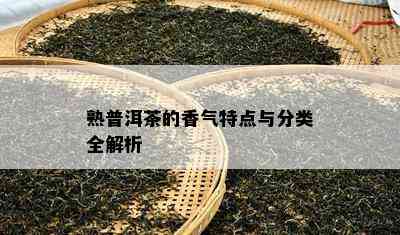 熟普洱茶的香气特点与分类全解析