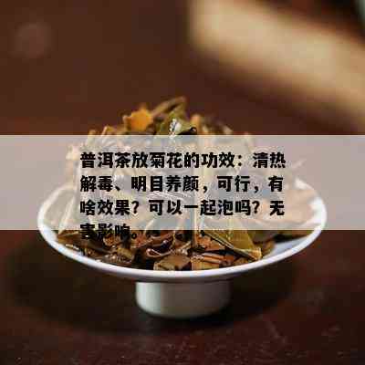 普洱茶放菊花的功效：清热解、明目养颜，可行，有啥效果？可以一起泡吗？无害影响。