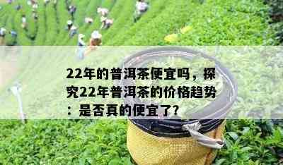 22年的普洱茶便宜吗，探究22年普洱茶的价格趋势：是否真的便宜了？