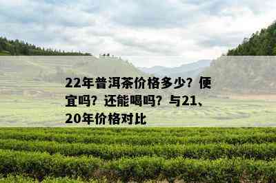 22年普洱茶价格多少？便宜吗？还能喝吗？与21、20年价格对比