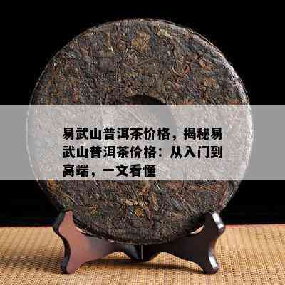 易武山普洱茶价格，揭秘易武山普洱茶价格：从入门到高端，一文看懂