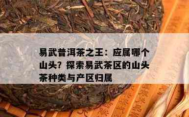 易武普洱茶之王：应属哪个山头？探索易武茶区的山头茶种类与产区归属