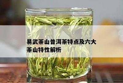 易武茶山普洱茶特点及六大茶山特性解析