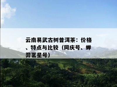 云南易武古树普洱茶：价格、特点与比较（同庆号、蝉羿茗星号）