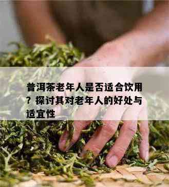 普洱茶老年人是否适合饮用？探讨其对老年人的好处与适宜性