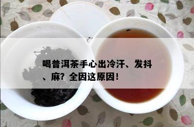 喝普洱茶手心出冷汗、发抖、麻？全因这原因！