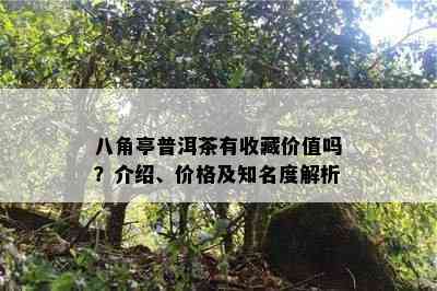 八角亭普洱茶有收藏价值吗？介绍、价格及知名度解析