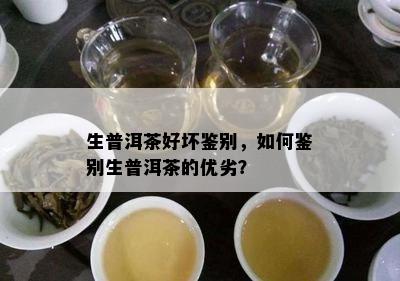 生普洱茶好坏鉴别，如何鉴别生普洱茶的优劣？