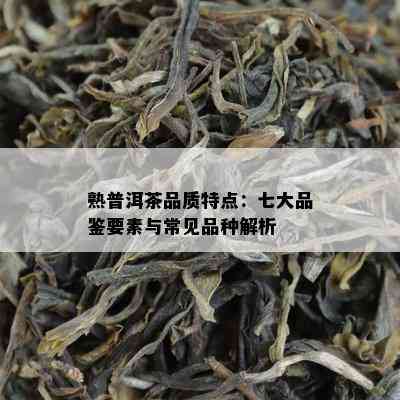 熟普洱茶品质特点：七大品鉴要素与常见品种解析