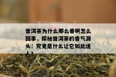 普洱茶为什么那么香啊怎么回事，探秘普洱茶的香气源头：究竟是什么让它如此迷人？