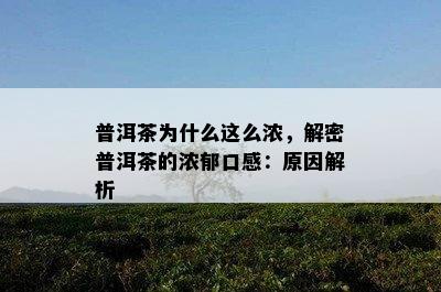 普洱茶为什么这么浓，解密普洱茶的浓郁口感：原因解析