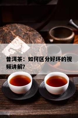 普洱茶：如何区分好坏的视频讲解？