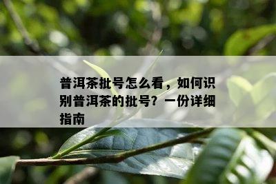 普洱茶批号怎么看，如何识别普洱茶的批号？一份详细指南