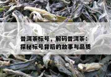 普洱茶标号，解码普洱茶：探秘标号背后的故事与品质