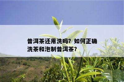 普洱茶还用洗吗？如何正确洗茶和泡制普洱茶？