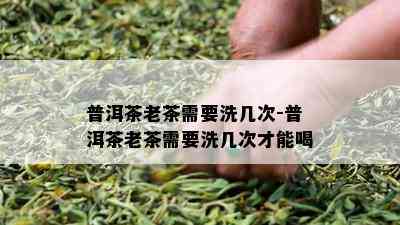 普洱茶老茶需要洗几次-普洱茶老茶需要洗几次才能喝