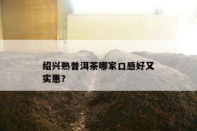 绍兴熟普洱茶哪家口感好又实惠？