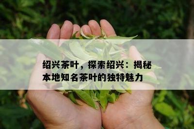 绍兴茶叶，探索绍兴：揭秘本地知名茶叶的独特魅力