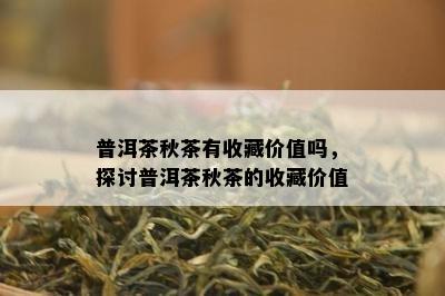 普洱茶秋茶有收藏价值吗，探讨普洱茶秋茶的收藏价值