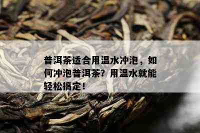 普洱茶适合用温水冲泡，如何冲泡普洱茶？用温水就能轻松搞定！