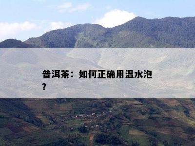 普洱茶：如何正确用温水泡？