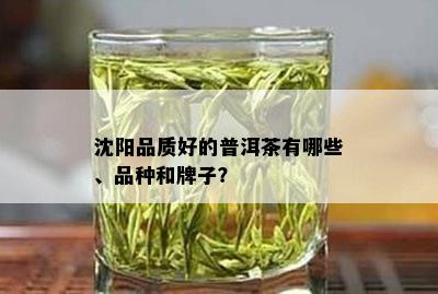 沈阳品质好的普洱茶有哪些、品种和牌子？