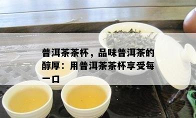 普洱茶茶杯，品味普洱茶的醇厚：用普洱茶茶杯享受每一口