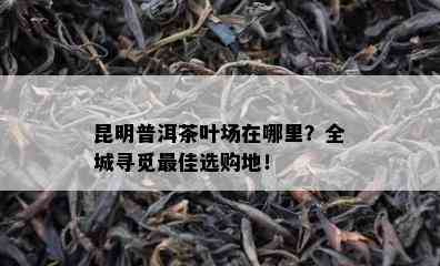 昆明普洱茶叶场在哪里？全城寻觅更佳选购地！