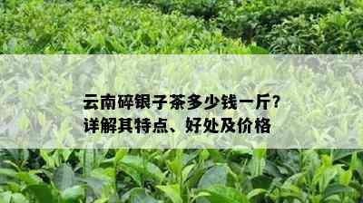 云南碎银子茶多少钱一斤？详解其特点、好处及价格