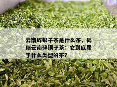 云南碎银子茶是什么茶，揭秘云南碎银子茶：它到底属于什么类型的茶？