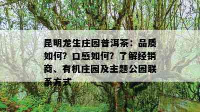 昆明龙生庄园普洱茶：品质如何？口感如何？了解经销商、有机庄园及主题公园联系方式