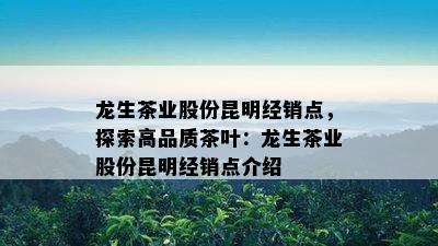 龙生茶业股份昆明经销点，探索高品质茶叶：龙生茶业股份昆明经销点介绍